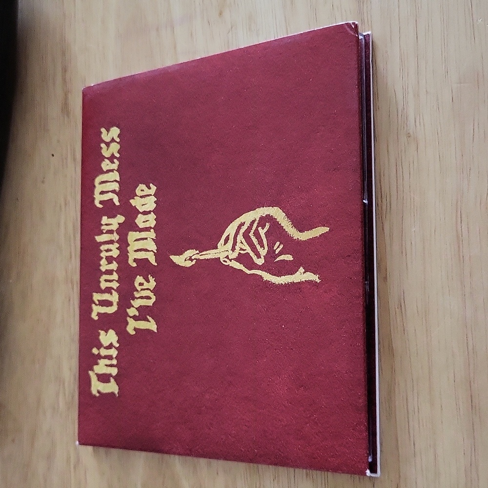 Macklemore & Ryan Lewis  - The Unruly Mess I've Made